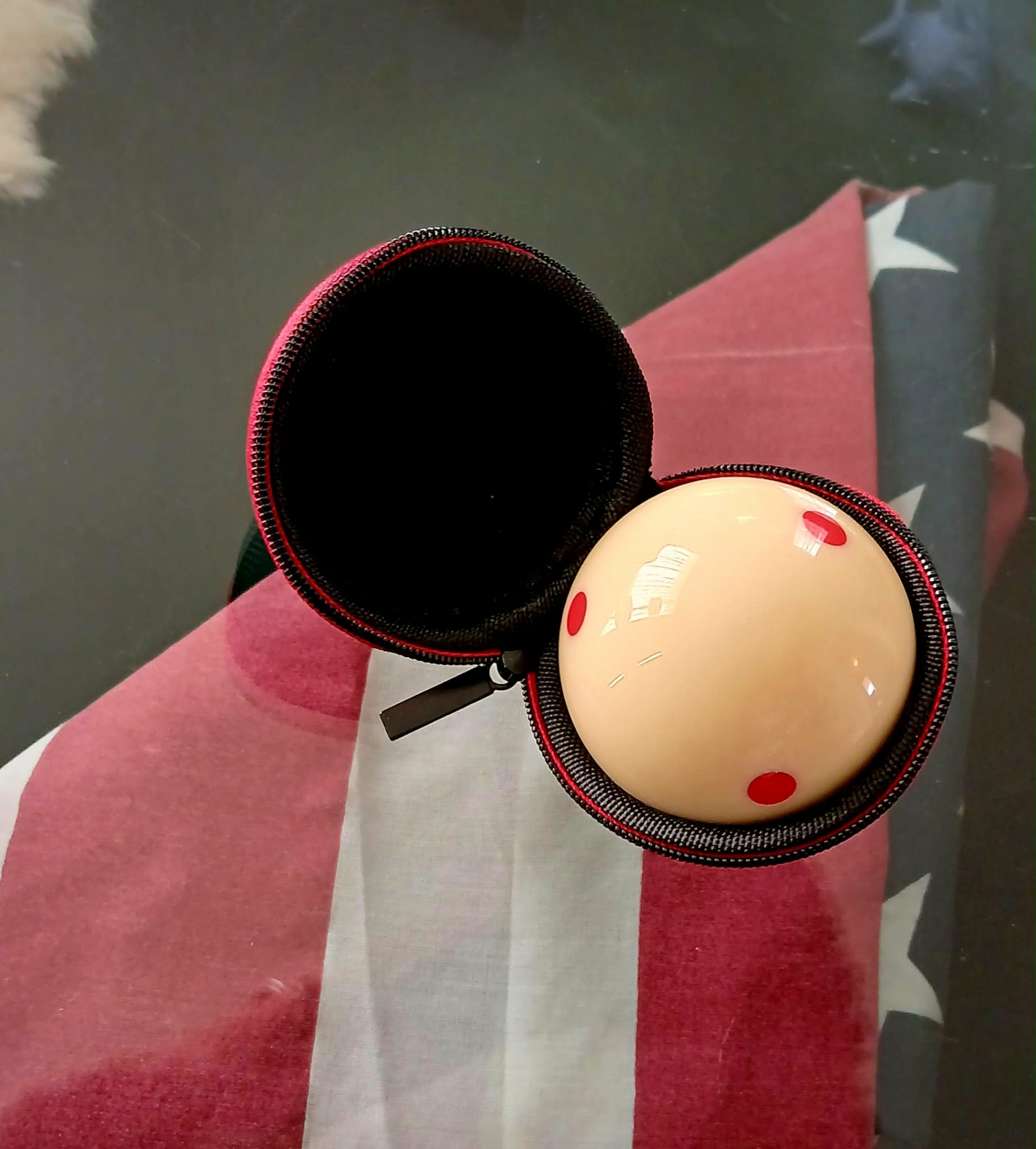 cue ball with carrying case
